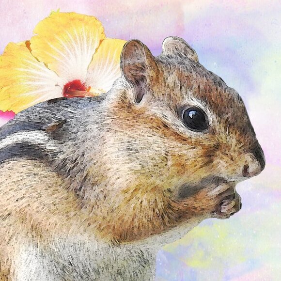 8x10 Chipmunk Eating Watercolor Illustration Art‎ Painting Print - Picture 3 of 6